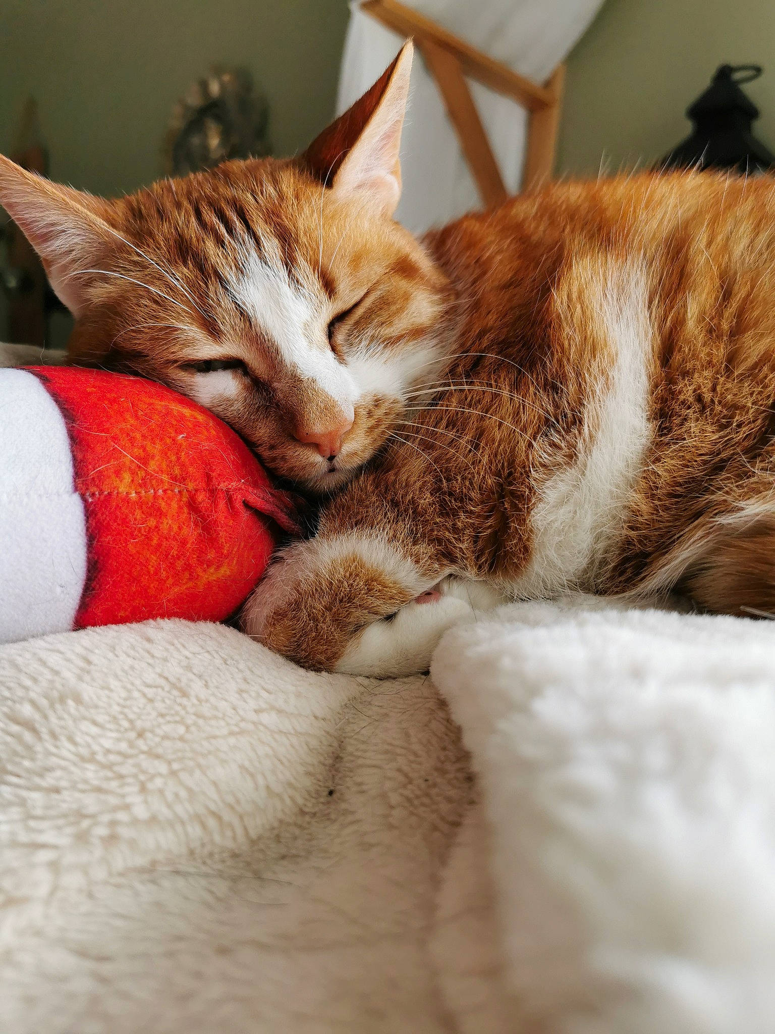 Smallville participe au concours pour gagner de l'argent avec cette photo : bed, carmine, carnivore, cat, claw, comfort, domestic_short_haired_cat, fawn, felidae, fur, human_leg, leg, linens, nap, paw, small_to_medium_sized_cats, snout, tail, whiskers, wood