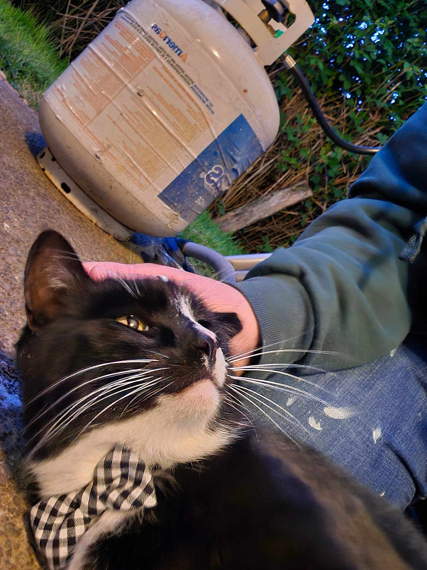 Tux