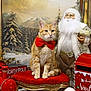 cat, christmas_decorations, decorative, festive, full_moon, holiday_theme, indoor, jingle_bells, north_pole_sign, orange_tabby, ornaments, pine_trees, plush, red_bow_tie, red_mailbox, red_velvet_stool, santa_figurine, seasonal, snowy_backdrop, toy_train