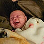 Tia Lee-Ann Gann is registered to the contest to win money with this photo: baby, blanket, smiling, sleeping, cozy, infant, soft, warm, cute, child, wrapped, happy, face, indoors, person, comfort, resting, head, cuddly, peaceful