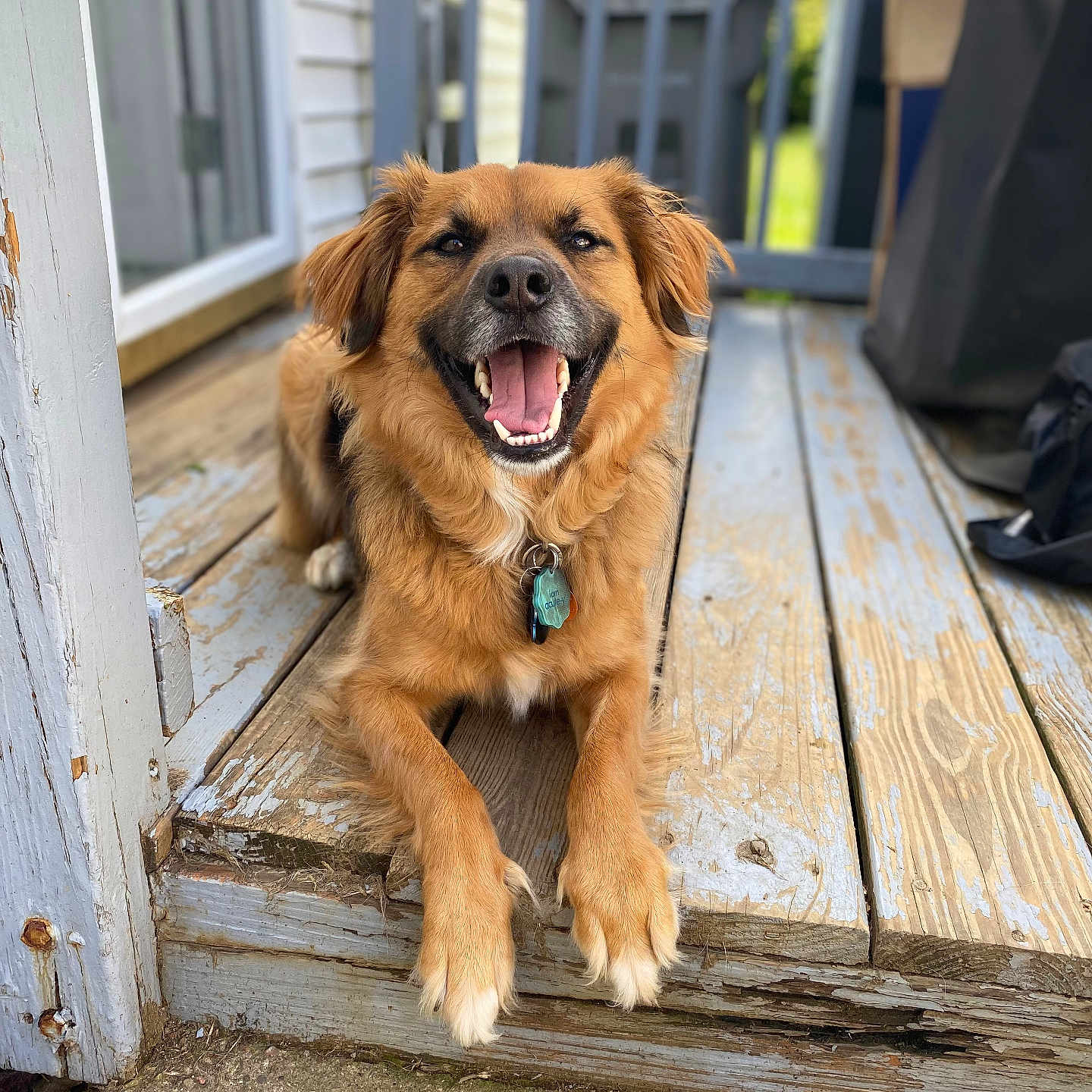 Zeus