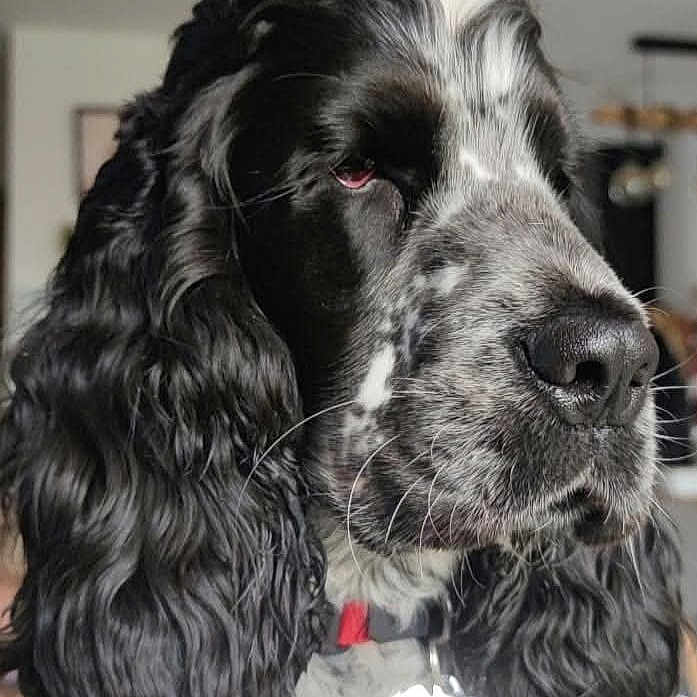 Ben