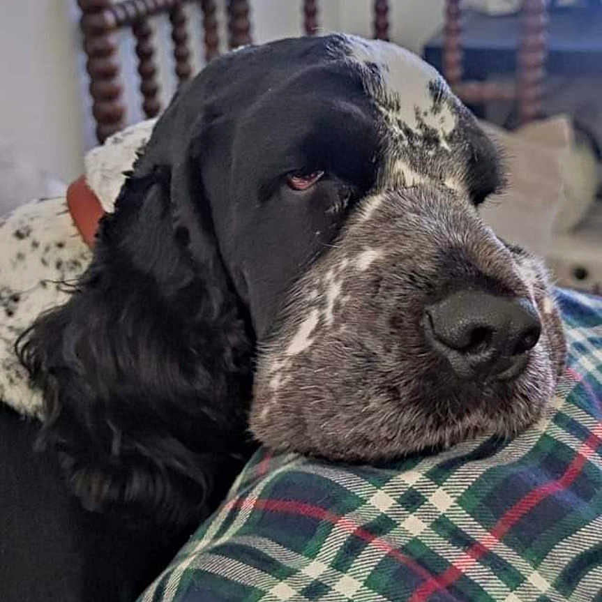 Ben