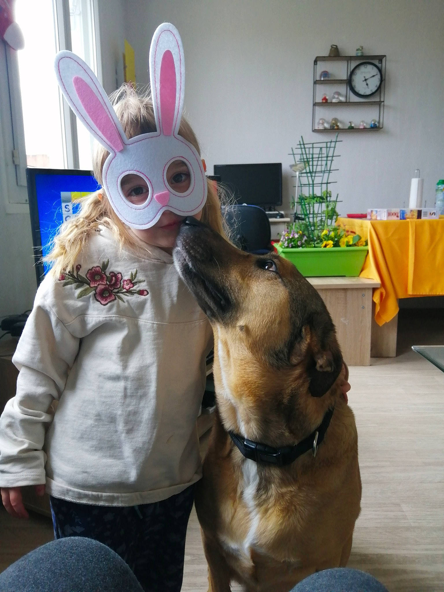 Fleury participe au concours pour gagner de l'argent avec cette photo : carnivore, collar, companion_dog, costume, dog, dog_breed, dog_collar, dog_supply, ear, easter_bunny, event, fawn, fun, fur, hat, houseplant, rabbit, snout, whiskers, working_animal