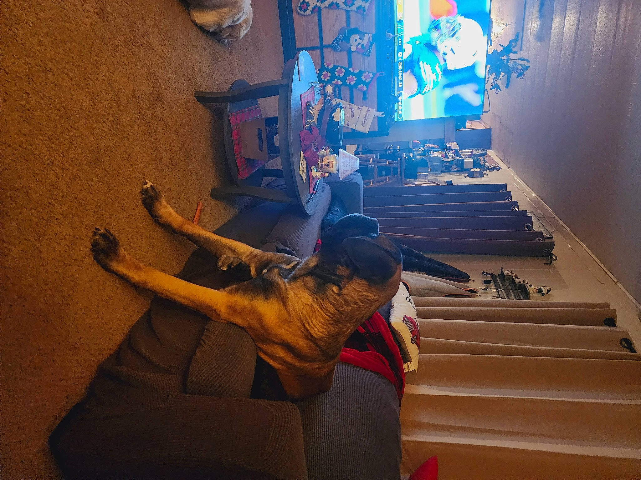 Hector is registered to the contest to win money with this photo: art, cg_artwork, entertainment, event, flooring, fun, hat, house, human_leg, leisure, performance, performance_art, performing_arts, room, stairs, tourist_attraction, visual_arts, wood, world