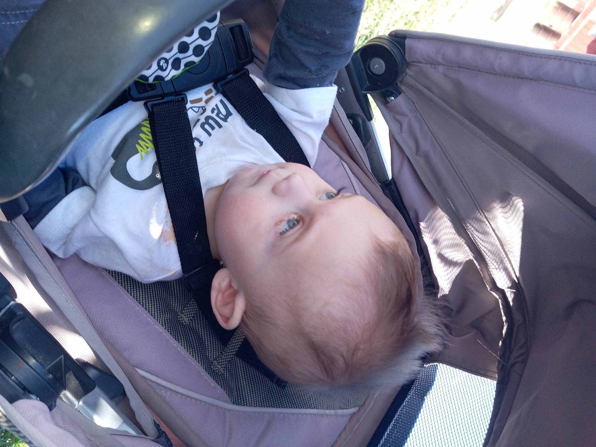 Zaidyn is registered to the contest to win money with this photo: auto_part, baby, baby_carriage, baby_products, baby_safety, baby_toddler_clothing, car_seat, child, comfort, person, personal_protective_equipment, toddler, tree