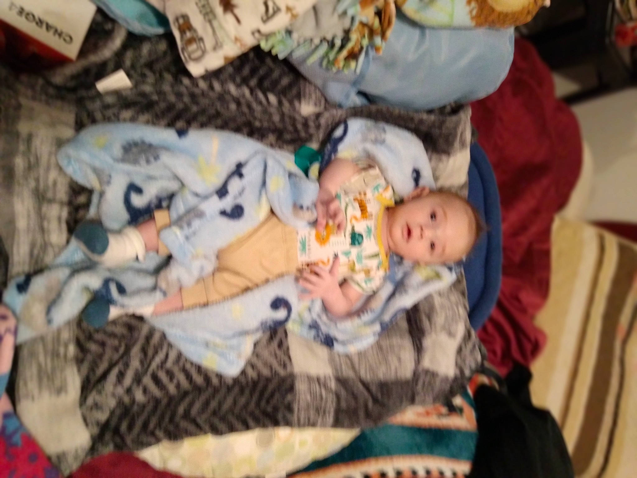 Zaidyn joined the competition — help win amazing prizes! baby, baby_products, baby_toddler_clothing, child, comfort, doll, event, fun, hat, lap, linens, pattern, person, room, sitting, textile, toddler, tree