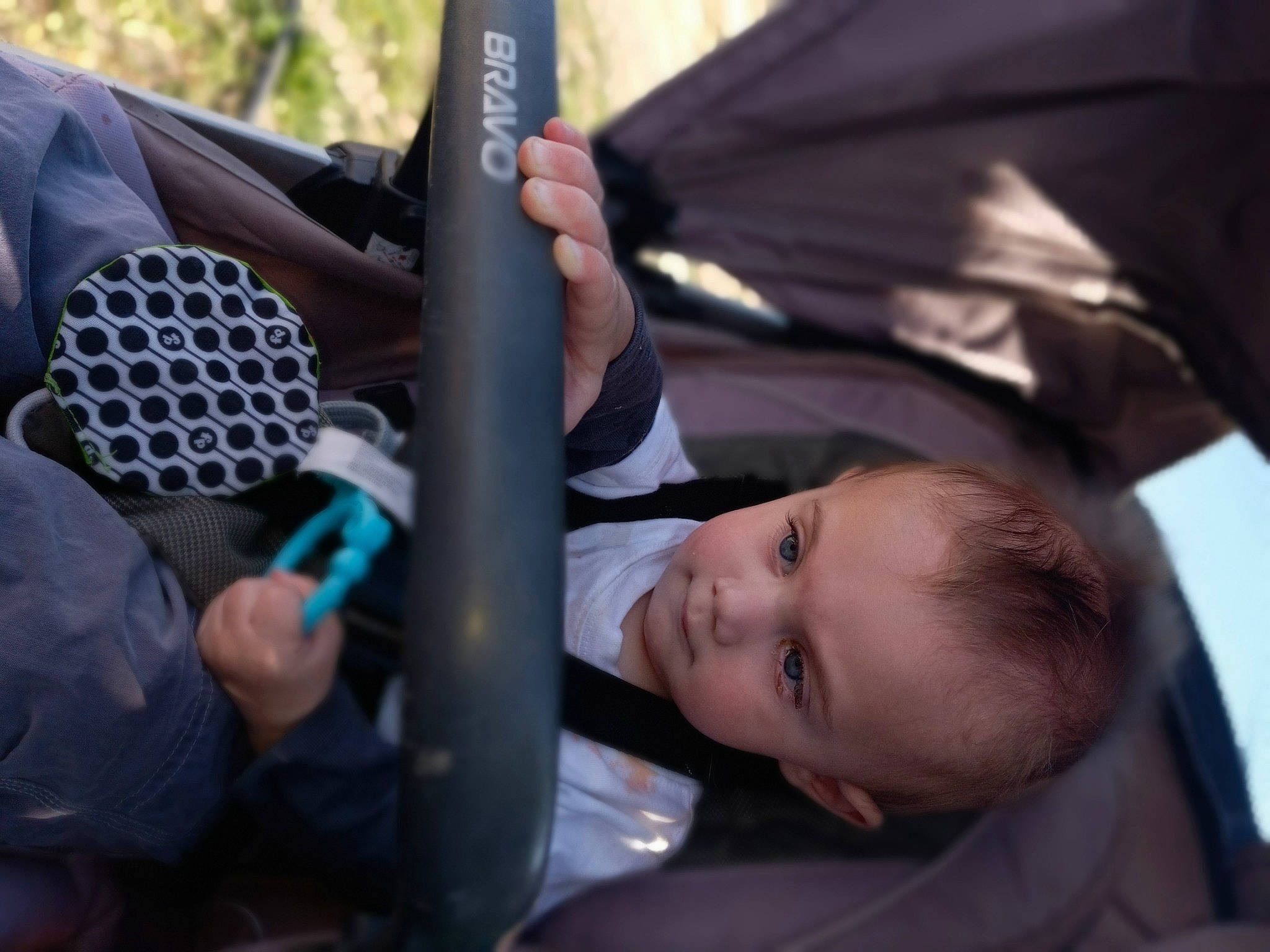Zaidyn J joined the competition — help win amazing prizes! auto_part, baby, baby_carriage, baby_products, child, comfort, event, fashion_accessory, fun, gesture, hand, person, personal_protective_equipment, public_event, recreation, toddler, tree