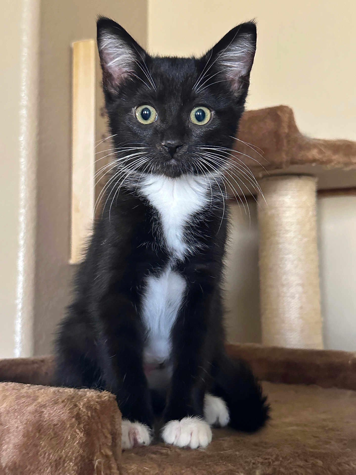 Luna