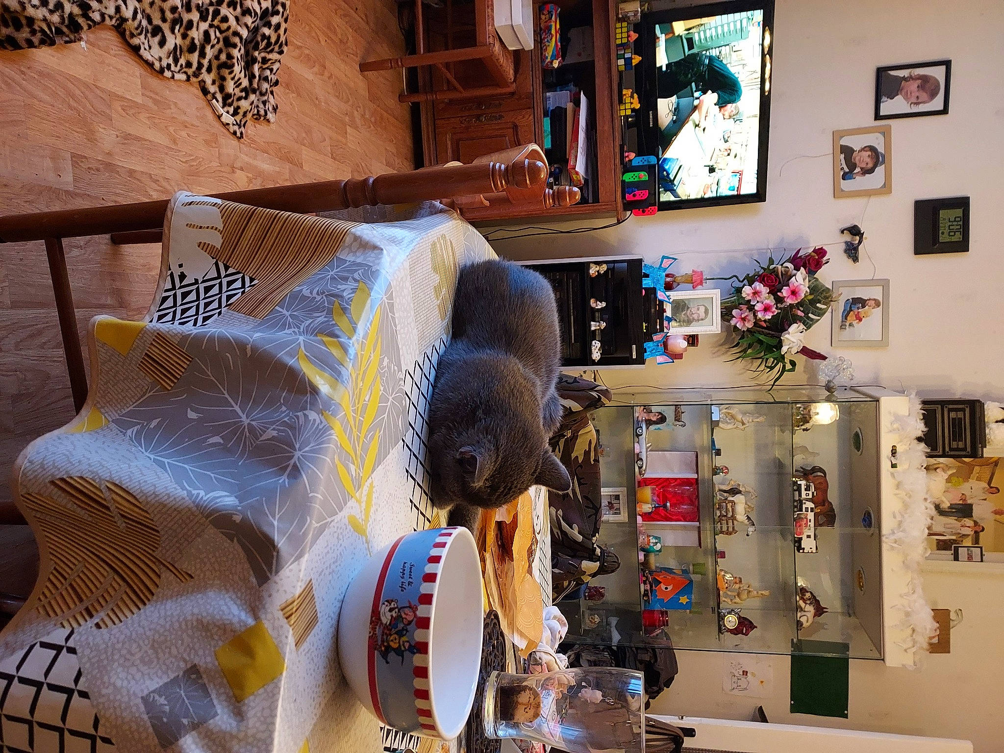 Pantoufles a rejoint le concours — aidez-le/la à gagner de superbes lots ! cushion, display_device, flat_panel_display, home, home_accessories, interior_design, lamp, led_backlit_lcd_display, linens, living_room, picture_frame, pillow, room, shelf, shelving, stuffed_toy, television, television_set, throw_pillow