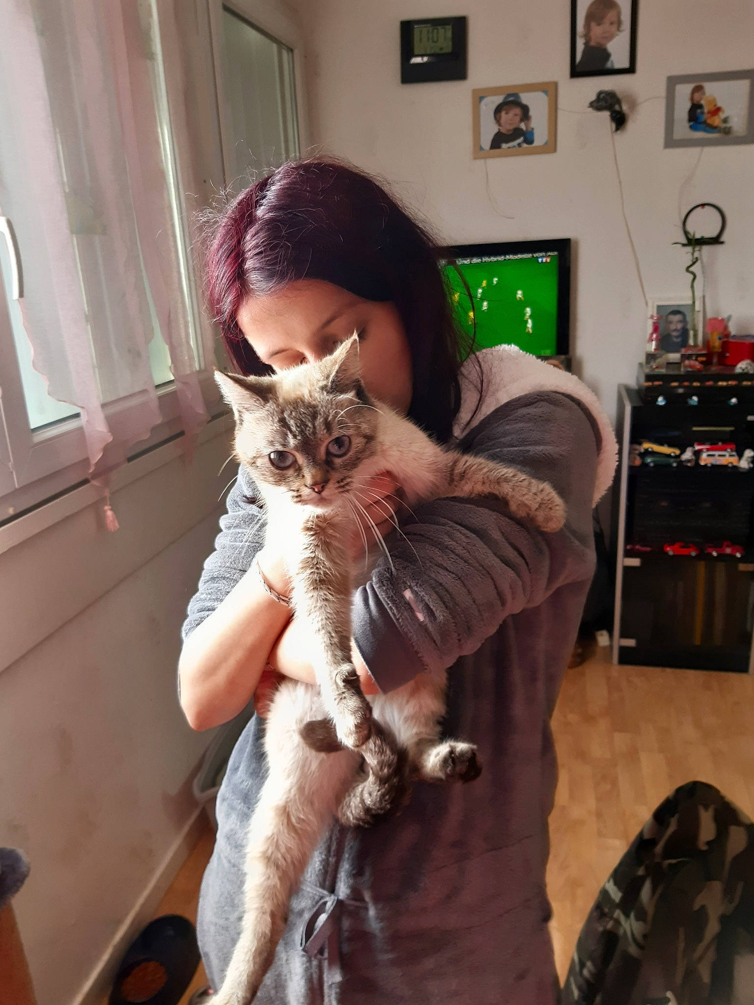 Ruby participe au concours pour gagner de l'argent avec cette photo : aegean_cat, asian, carnivore, cat, devon_rex, european_shorthair, felidae, fur, german_rex, mammal, oriental_longhair, small_to_medium_sized_cats, whiskers