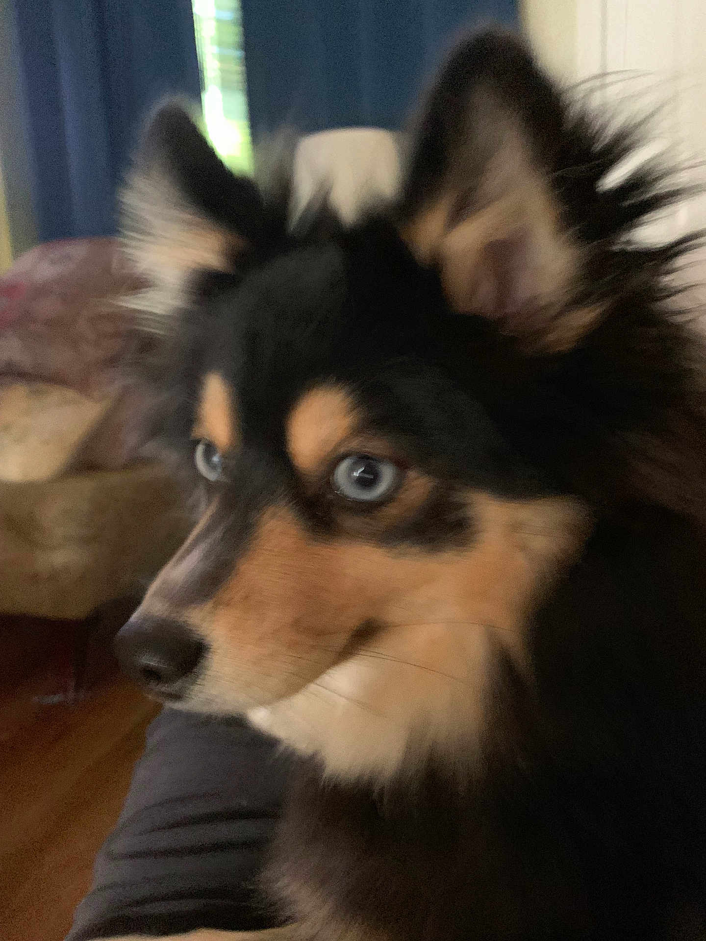 Skye