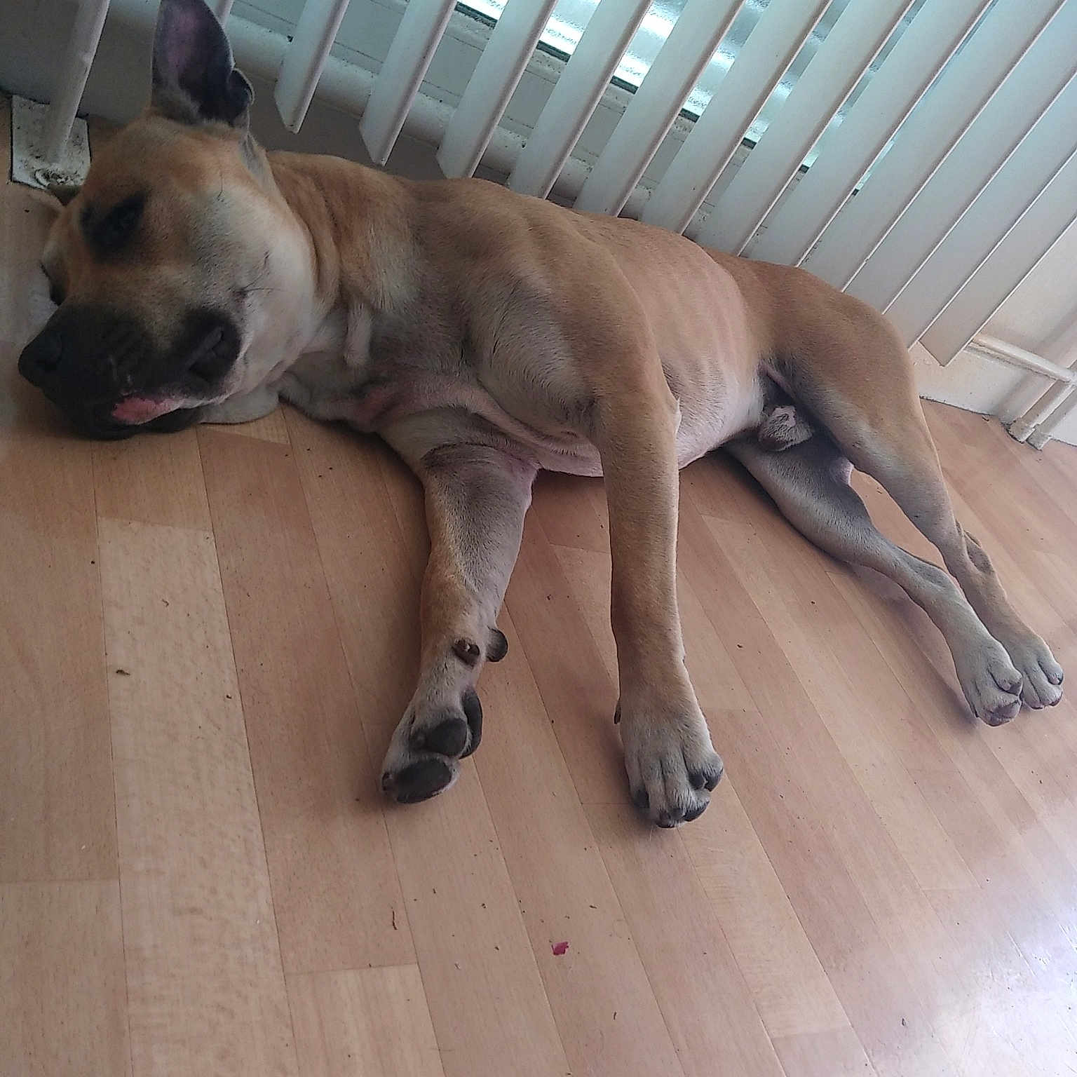 Tayson