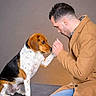 Hercule a rejoint le concours — aidez-le/la à gagner de superbes lots ! dog, man, interaction, pet, paw, friendship, brown_coat, blue_jeans, indoor, studio, seated, white_spotted_dog, beagle, gesture, animal, human, bond, affection, casual_clothing, portrait
