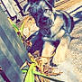 Wylie is registered to the contest to win money with this photo: