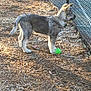 Wylie is registered to the contest to win money with this photo: