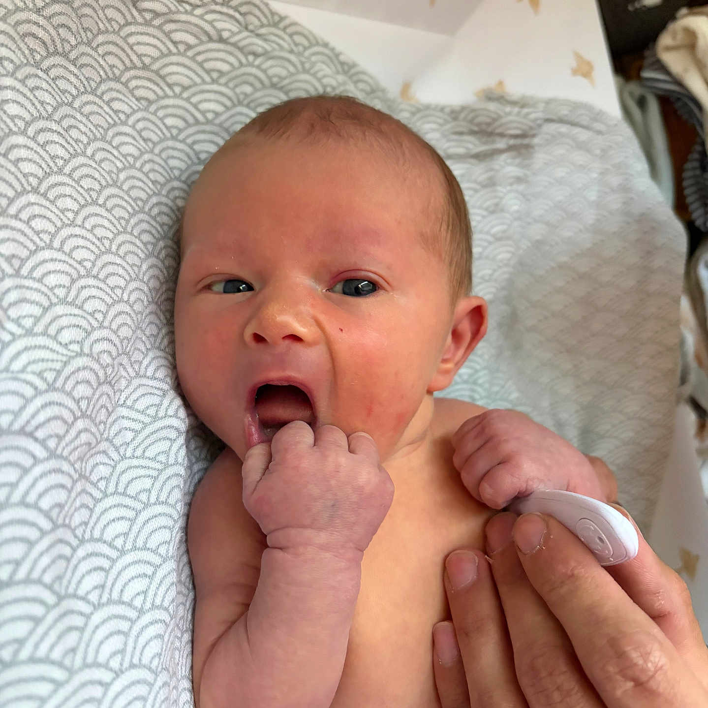 Rafael a rejoint le concours — aidez-le/la à gagner de superbes lots ! newborn, baby, infant, hand, fingers, face, skin, person, pattern, cushion, bird, background, expression, sucking, lying_down, closeup, indoors, parent_hand, soft, cute