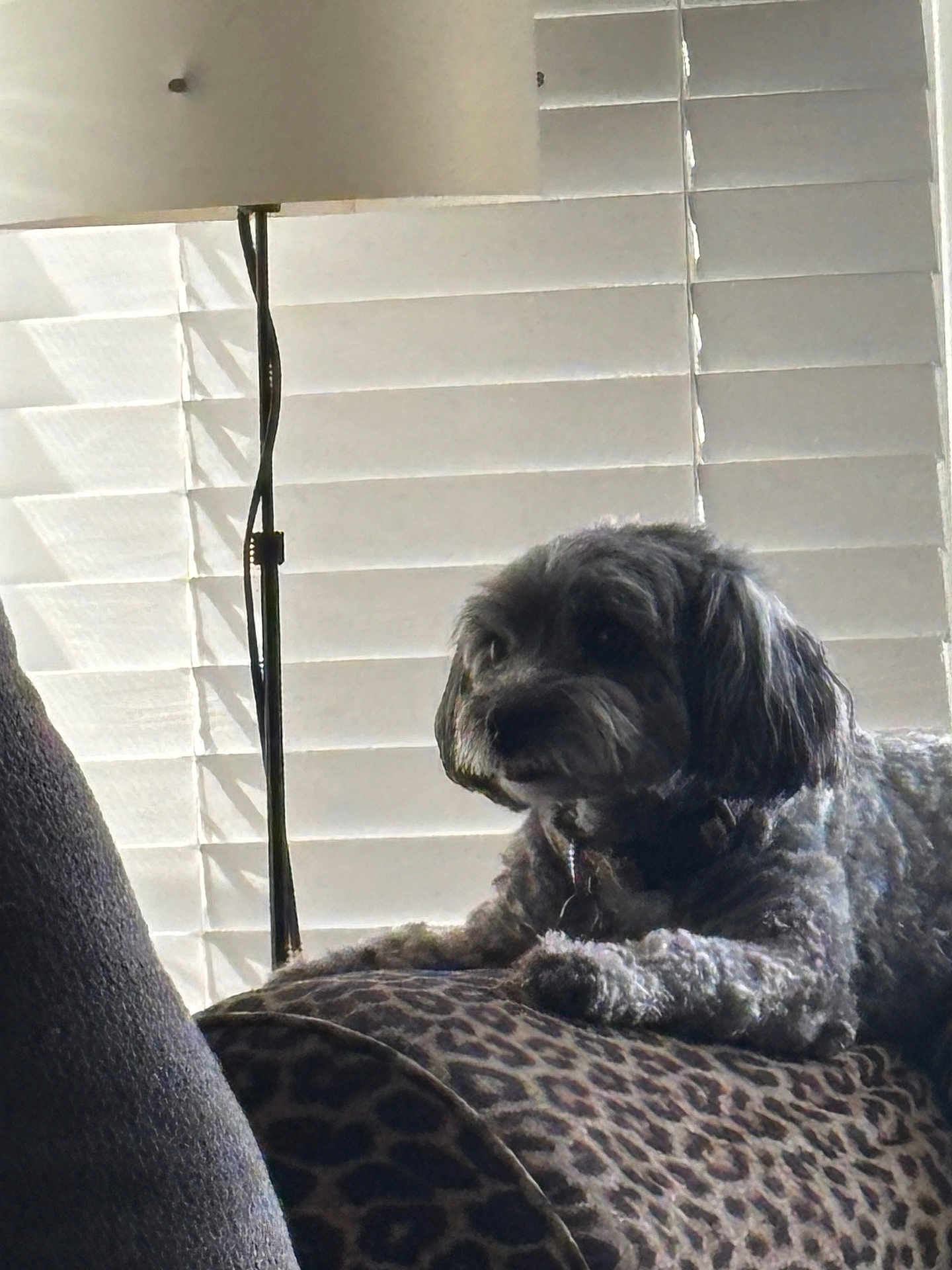 Rosie