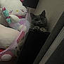 cat, gray_cat, plush_toys, hello_kitty, stuffed_animals, shelf, cozy_corner, indoor, cute, pet, feline, curious, mischievous, soft_toys, decor, animal, relaxing, home, wall, furniture