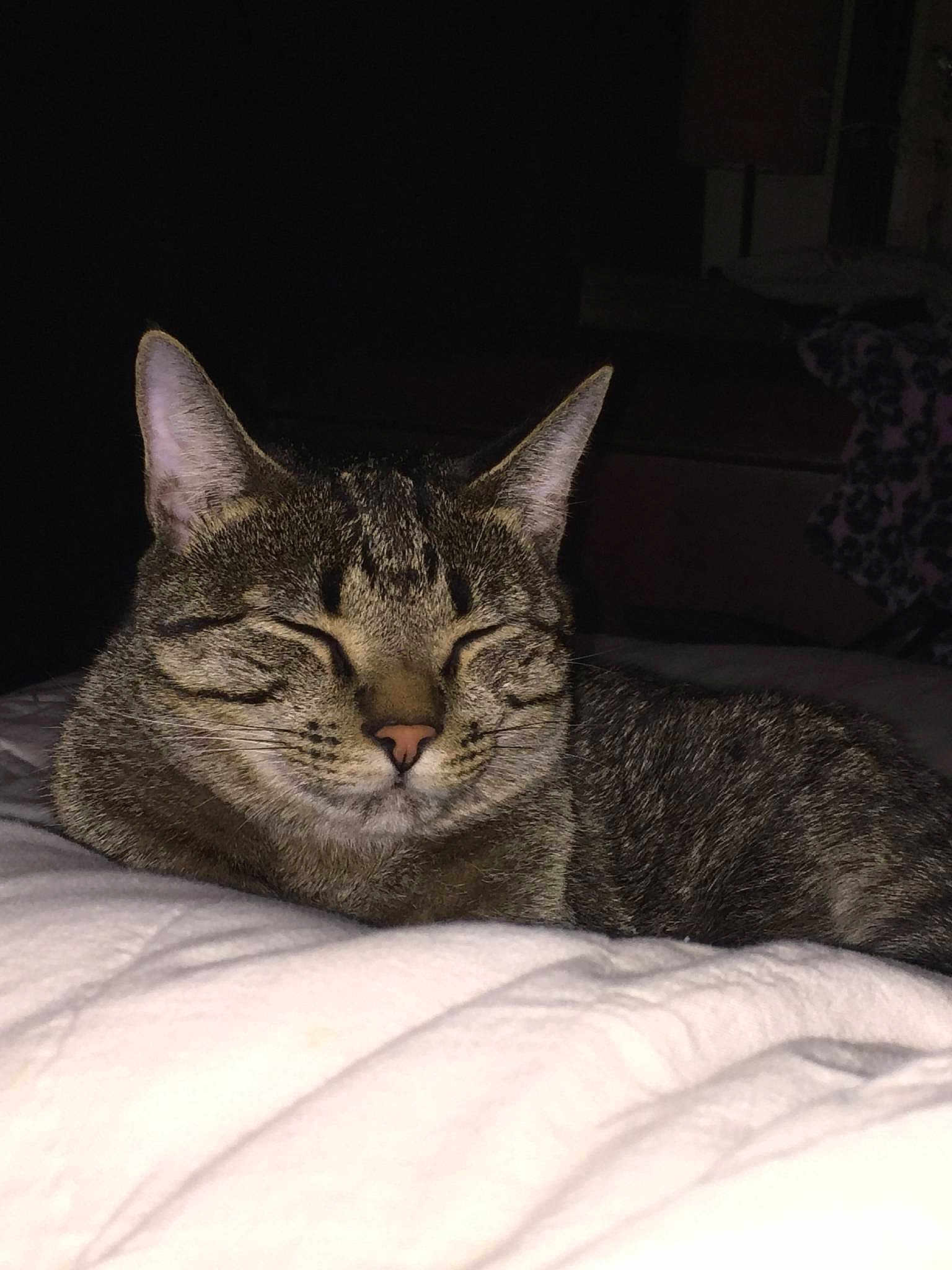 Kevin Michael Vincent