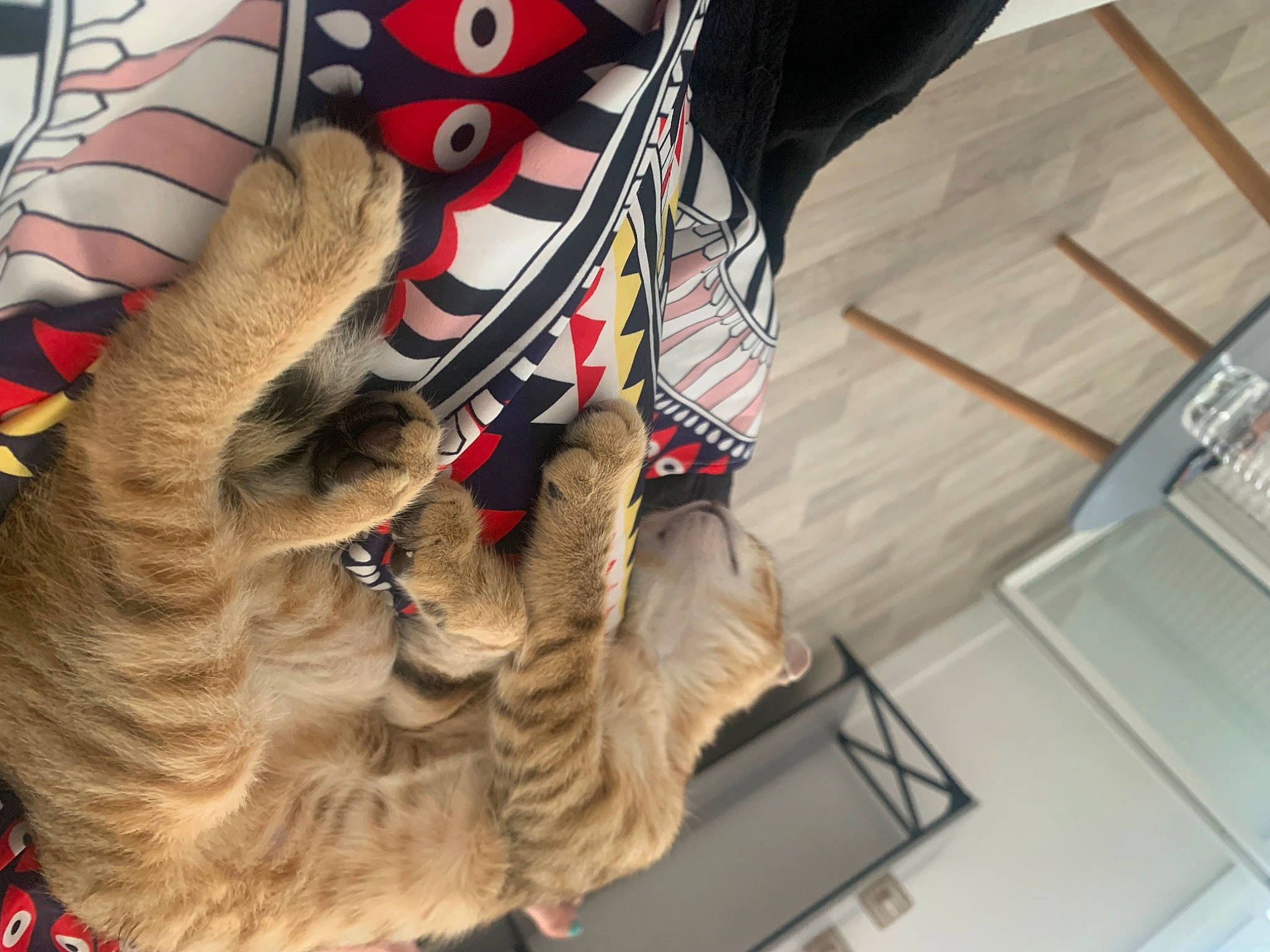 Dior participe au concours pour gagner de l'argent avec cette photo : bag, boot, carmine, costume, fashion_accessory, felidae, fur, glove, hat, helmet, human_leg, outdoor_shoe, pattern, personal_protective_equipment, sleeve, sportswear, temporary_tattoo, thigh, uniform, wood