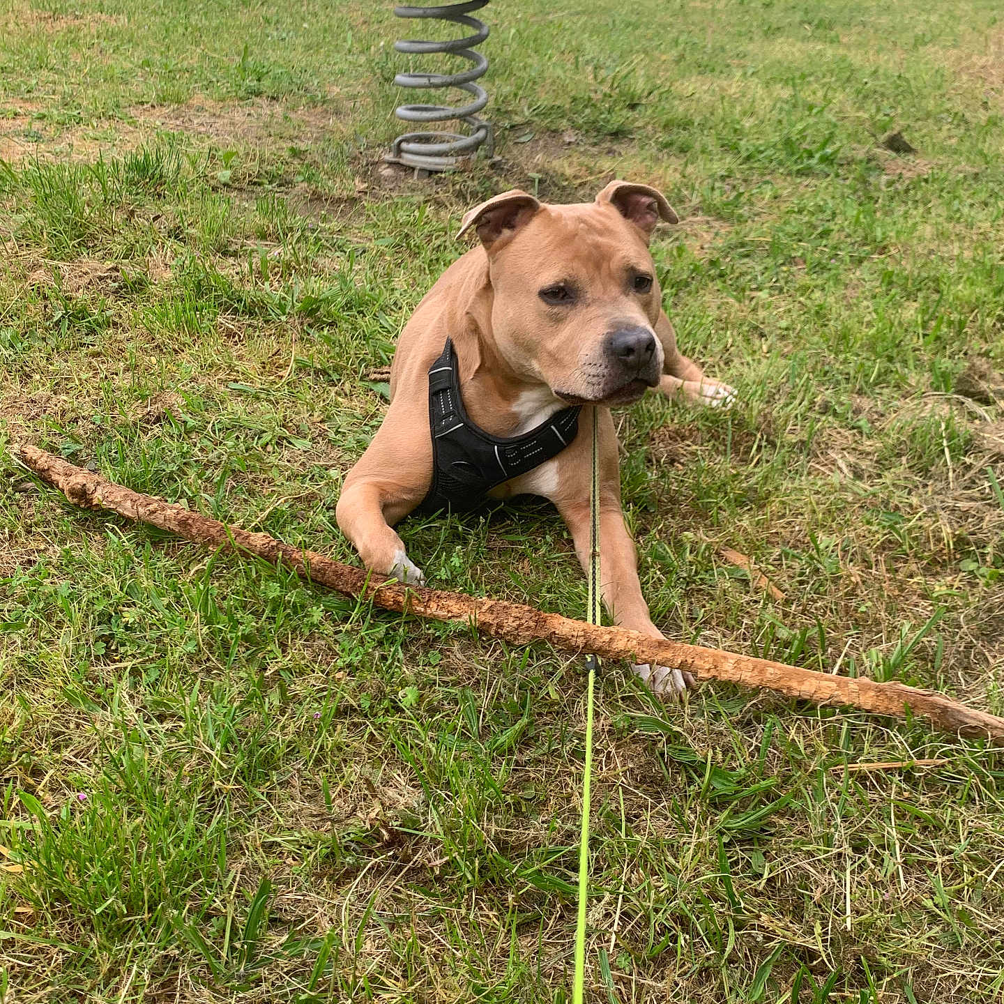 Baxter