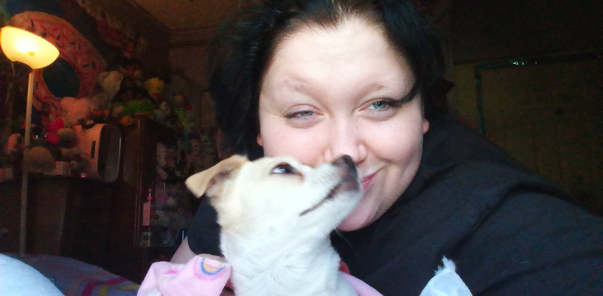 Jacqueline is registered to the contest to win money with this photo: canidae, carnivore, companion_dog, dog, dog_breed, ear, fawn, fur, gesture, happy, jaw, kintamani, nose, sled_dog, smile, snout, spitz, sporting_group, whiskers, wolf