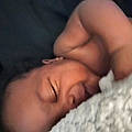 Darshawn S.