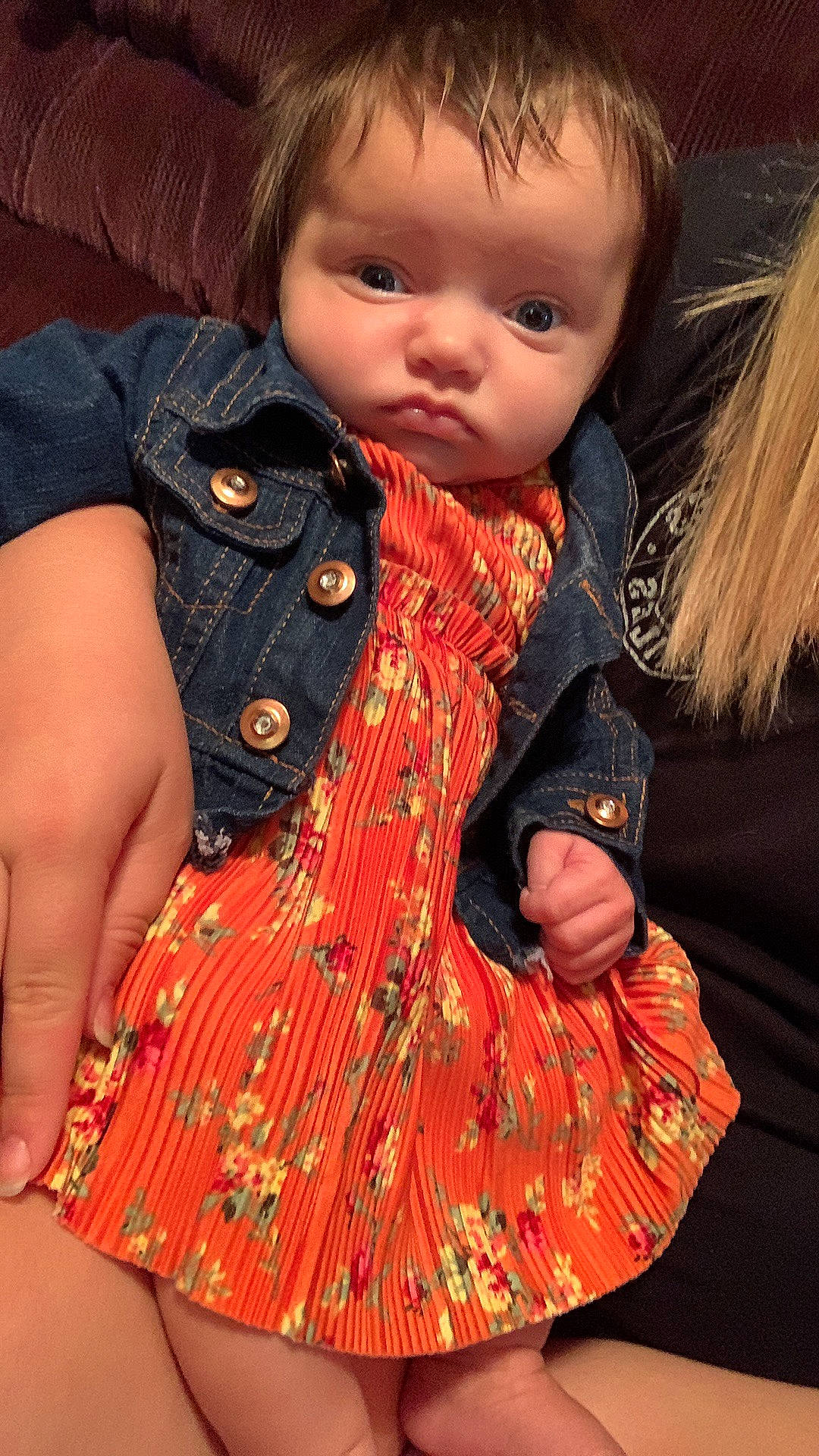 Aubree is registered to the contest to win money with this photo: baby_toddler_clothing, beauty, cheek, collar, doll, eyelash, fashion_design, head, iris, lip, orange, outerwear, pattern, people, person, skin, sleeve, textile, toddler, toy