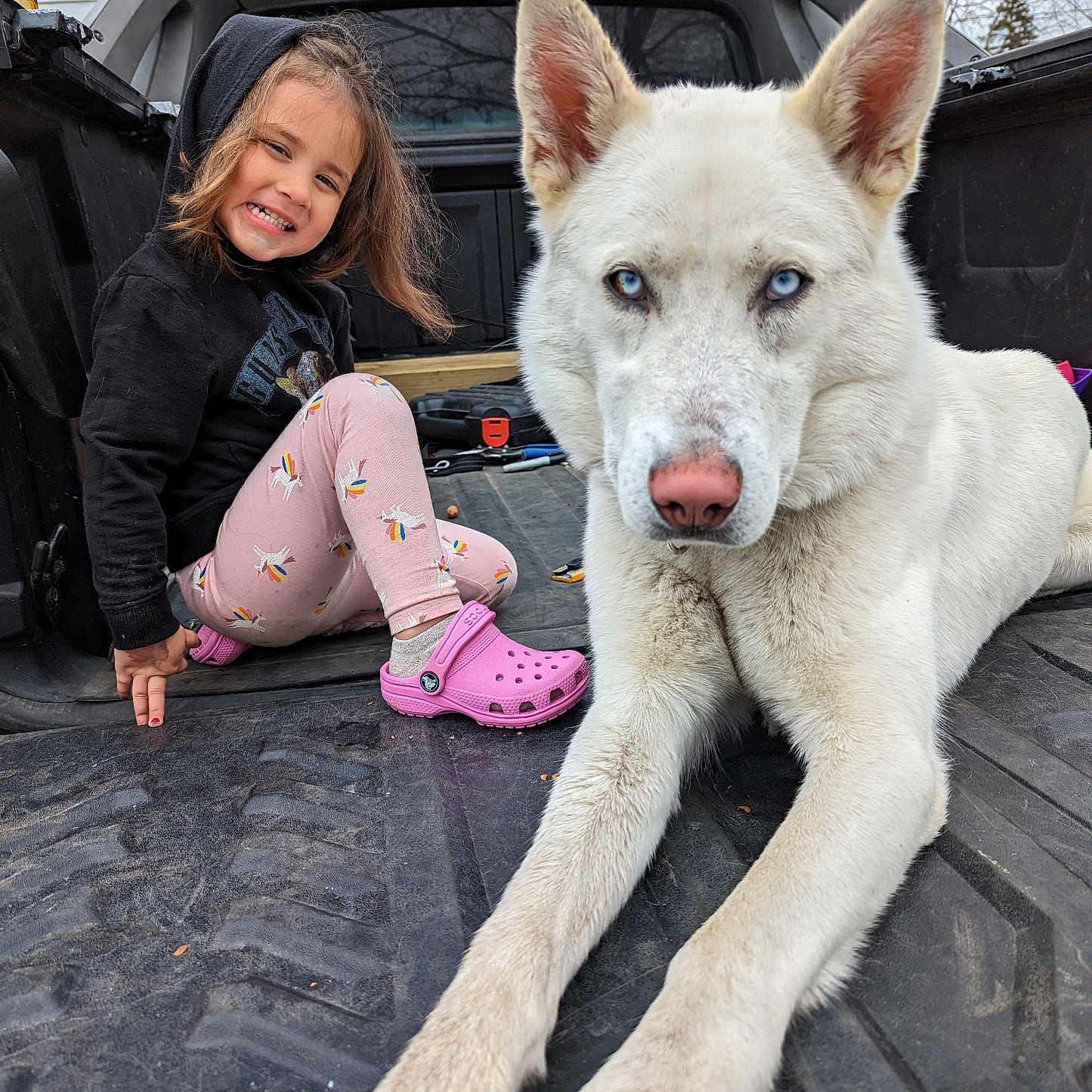 Az joined the competition — help win amazing prizes! accessories, alloywheel, animal, canine, car, child, clothing, dog, face, female, footwear, girl, head, husky, person, pet, sandal, shoe, strap, whitedog