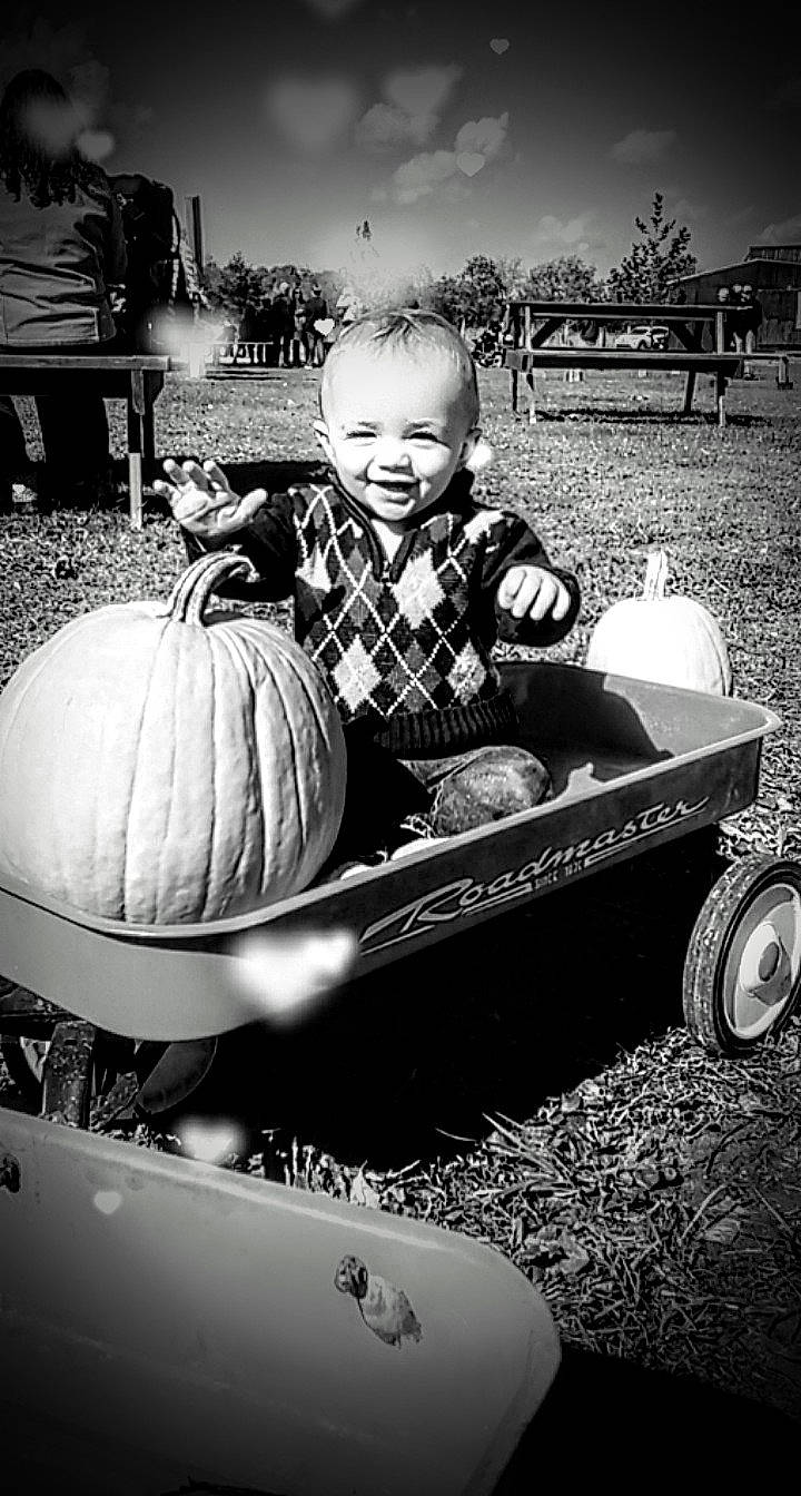 Creed joined the competition — help win amazing prizes! black, black_and_white, calabaza, flash_photography, food, gourd, human, joy, mode_of_transport, motor_vehicle, natural_foods, people, person, photograph, plant, pumpkin, style, tire, toddler, wheel