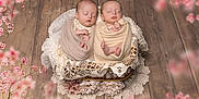 Julia Et Anna a rejoint le concours — aidez-le/la à gagner de superbes lots ! newborn, twins, baby, sleeping, basket, lace, blanket, wooden_floor, flower, pink_blossoms, soft_light, portrait, cute, peaceful, infant, wrapped, cozy, decor, photography, indoors
