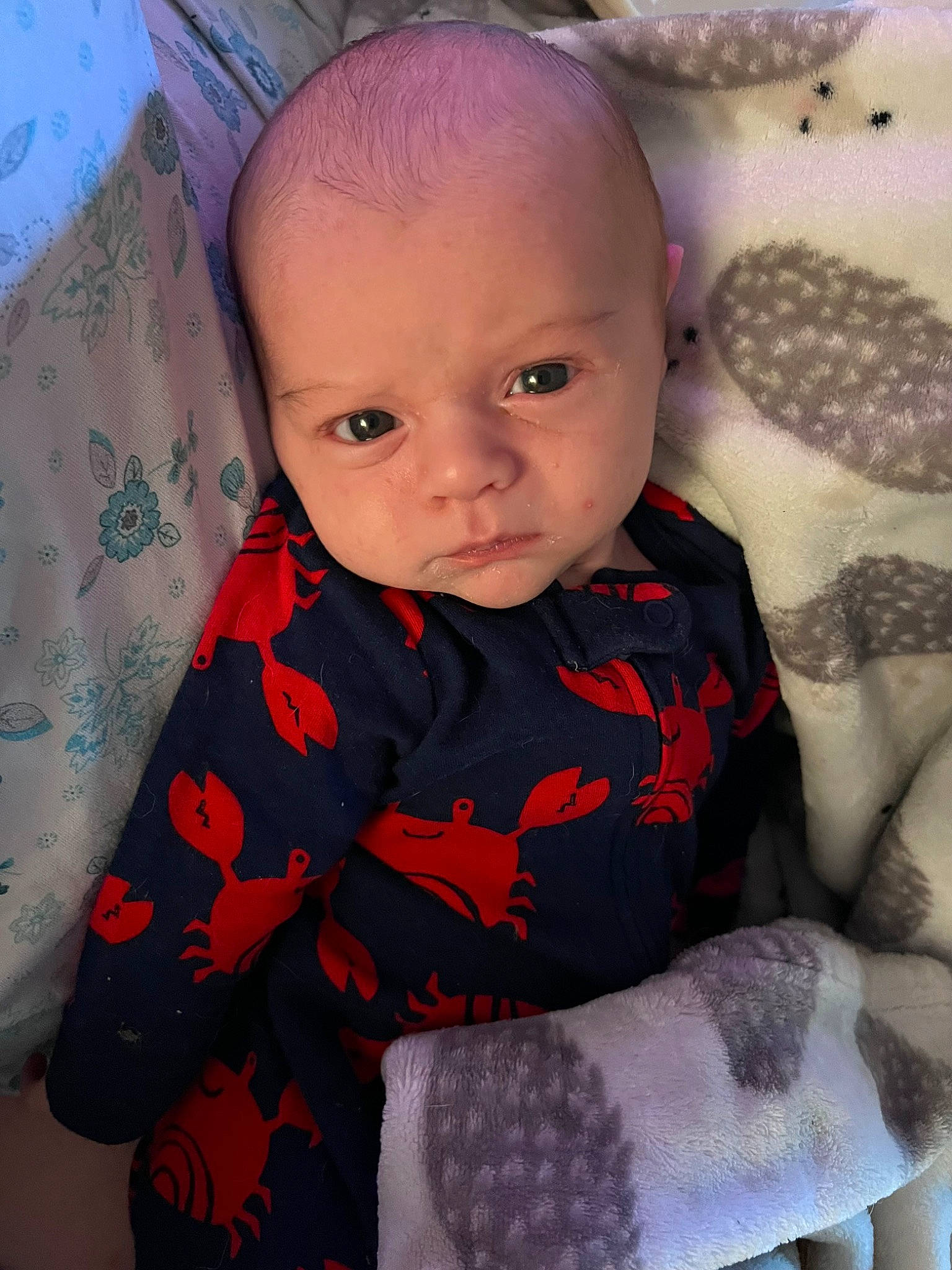 Eli joined the competition — help win amazing prizes! baby, baby_toddler_clothing, carmine, cheek, child, comfort, facial_expression, hairstyle, happy, iris, linens, pattern, person, pink, product, room, sitting, skin, sleeve, textile