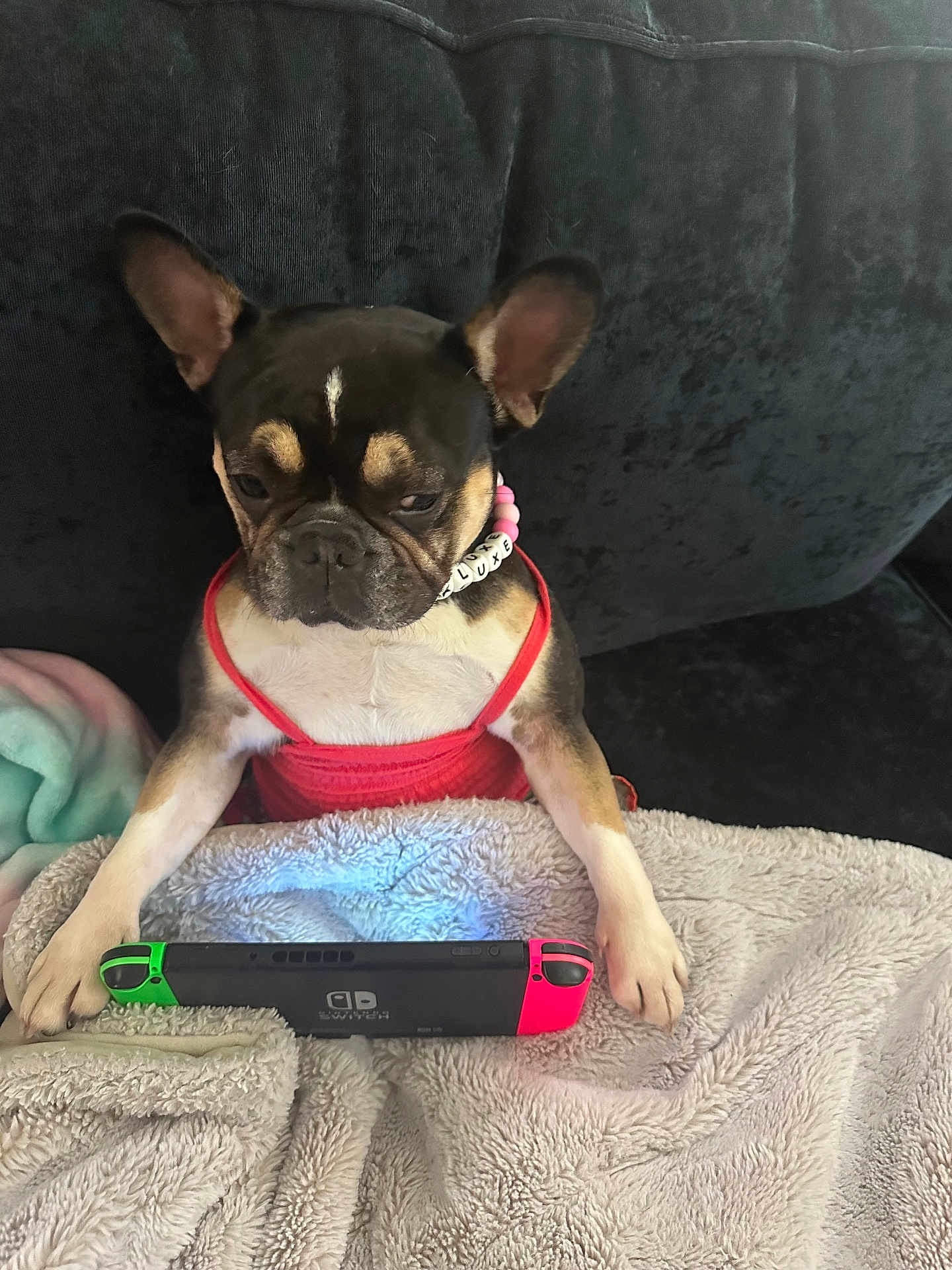 Lulu