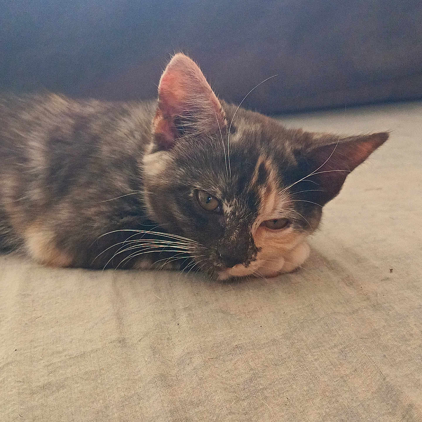 Nala