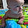 Noah M.