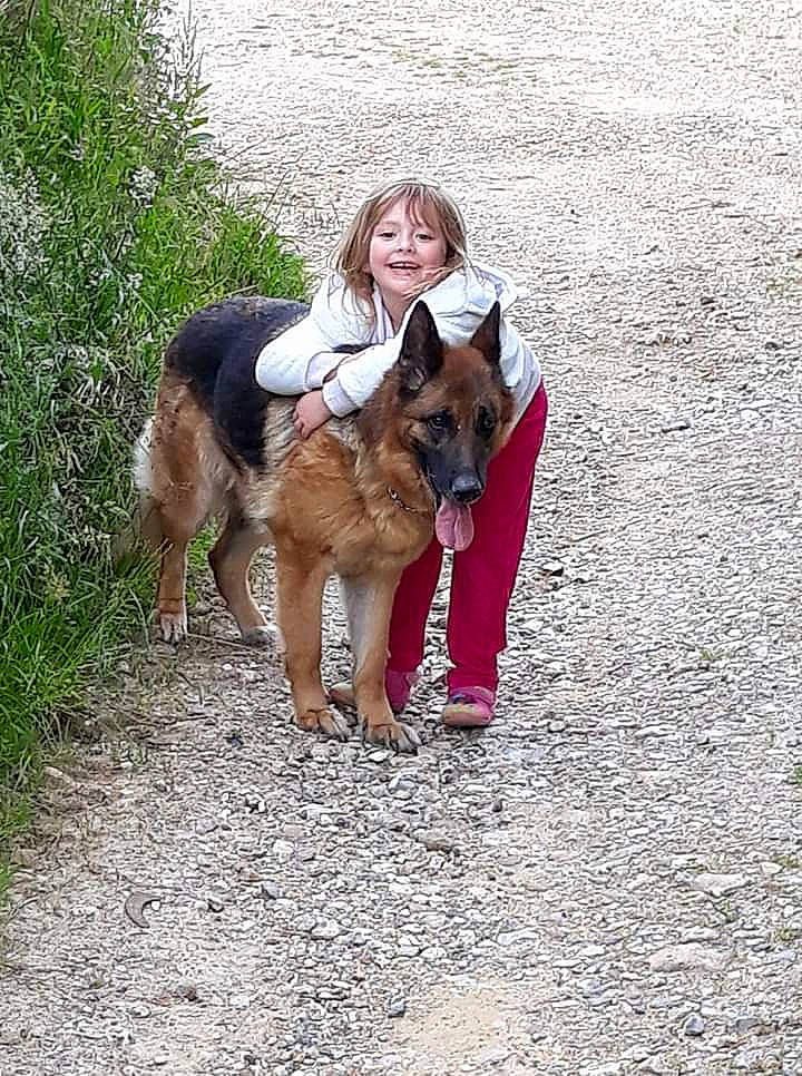 Fibie a rejoint le concours — aidez-le/la à gagner de superbes lots ! carnivoran, dog, dog_breed, dog_breed_group, dog_like_mammal, german_shepherd_dog, joy, king_shepherd, old_german_shepherd_dog, person, tervuren, vertebrate