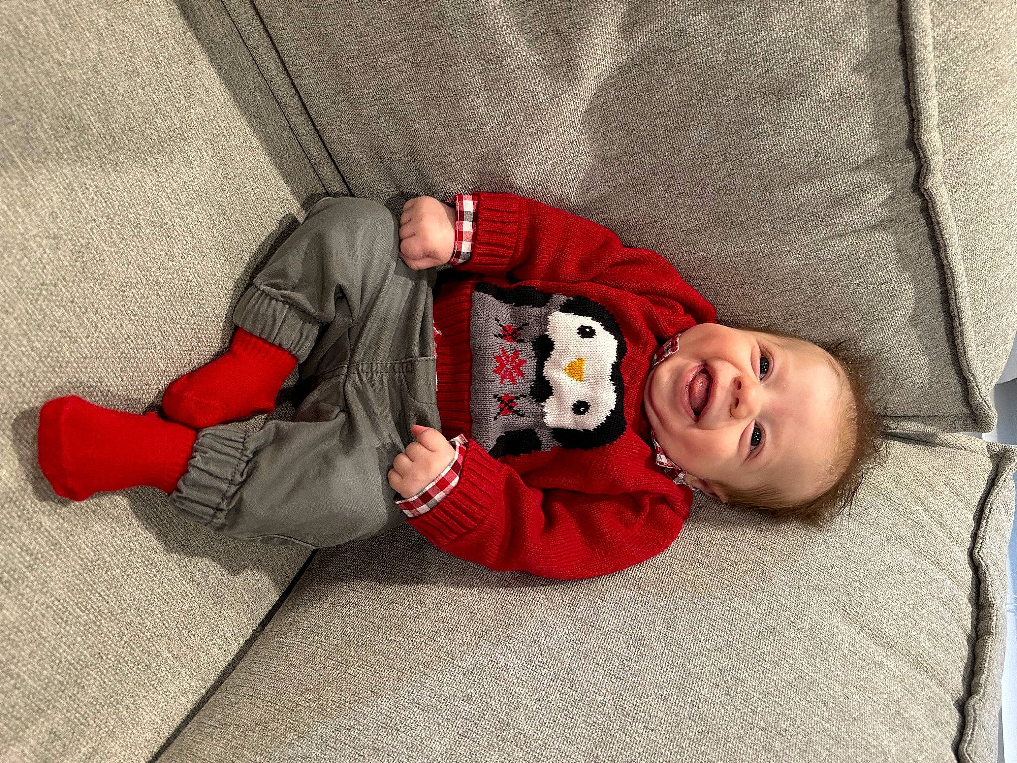 Lucas is registered to the contest to win money with this photo: baby, baby_toddler_clothing, carmine, child, comfort, flooring, fun, fur, hat, headgear, human_leg, knee, leg, linens, person, sitting, sleeve, smile, toddler, tree