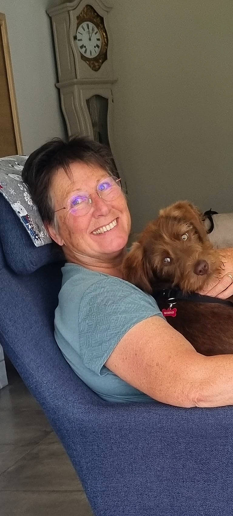 Puppy participe au concours pour gagner de l'argent avec cette photo : abdomen, carnivore, chair, comfort, companion_dog, dog, dog_breed, elbow, eyewear, fun, fur, happy, hug, lap, liver, mammal, sitting, smile, sporting_group, toy_dog