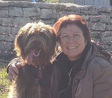 Puppy participe au concours pour gagner de l'argent avec cette photo : canidae, carnivore, companion_dog, dog, dog_breed, eyewear, fawn, fur, glasses, grass, happy, liver, small_terrier, smile, snout, sporting_group, terrier, toy_dog, working_animal, wrinkle