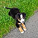Loky