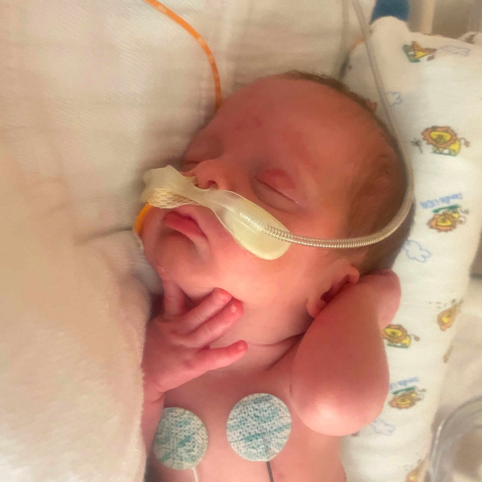Emma joined the competition — help win amazing prizes! baby, baby_toddler_clothing, cheek, child, comfort, drinkware, ear, eyelash, eyewear, finger, iris, lip, mouth, nail, nose, skin, sunglasses, thumb, toddler, vision_care