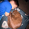 Gizmo is registered to the contest to win money with this photo: child, cat, sleeping, bed, blue_shirt, brown_cat, playing_cards, cozy, indoor, nap, cute, pet, animal, human, closeup, resting, soft, comfort, pajamas, blanket