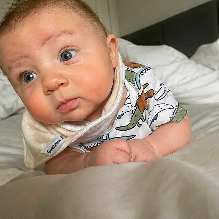 Omri
