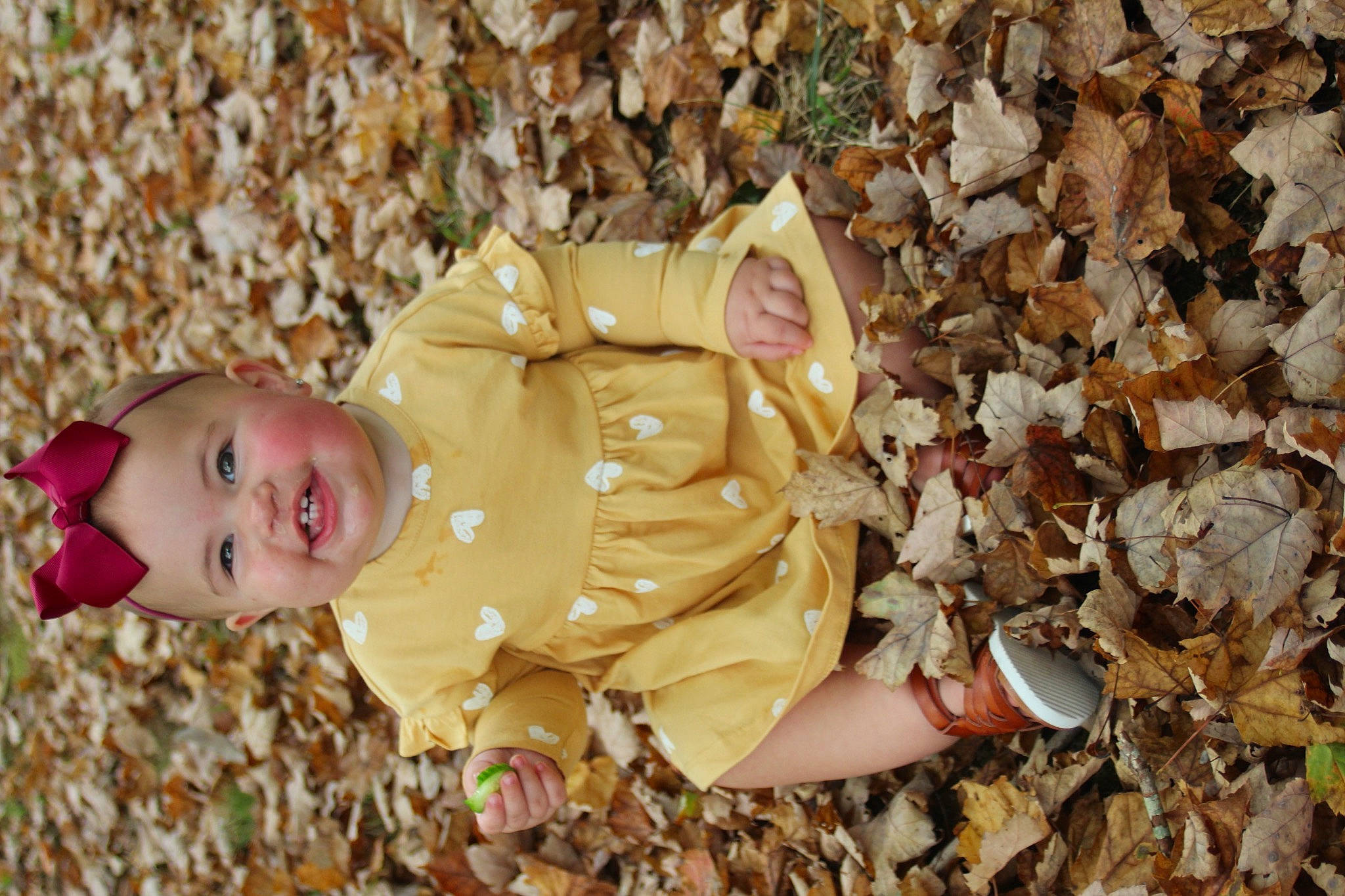 Blakely joined the competition — help win amazing prizes! autumn, baby, baby_toddler_clothing, child, deciduous, eye, grass, happy, head, headwear, joy, pattern, people_in_nature, person, plant, portrait_photography, sitting, smile, soil, toddler