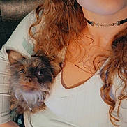 Brownie is registered to the contest to win money with this photo: person, dog, curly_hair, nose_ring, choker, white_top, small_dog, fluffy_dog, couch, blanket, hand, lap, indoor, casual, relaxed, pet, snuggling, portrait, seated, cozy