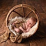 Axel participe au concours pour gagner de l'argent avec cette photo : baby, newborn, sleeping, basket, wicker, wooden_floor, blanket, fabric, cozy, infant, peaceful, portrait, soft_lighting, wrapped, fur, cute, child, resting, indoors, warm_colors