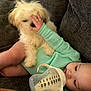 Journei joined the competition — help win amazing prizes! baby, puppy, bottle, milk, couch, onesie, hand, fur, cute, playful, infant, pet, indoor, cozy, child, milk_bottle, sleeping, face, animal, soft