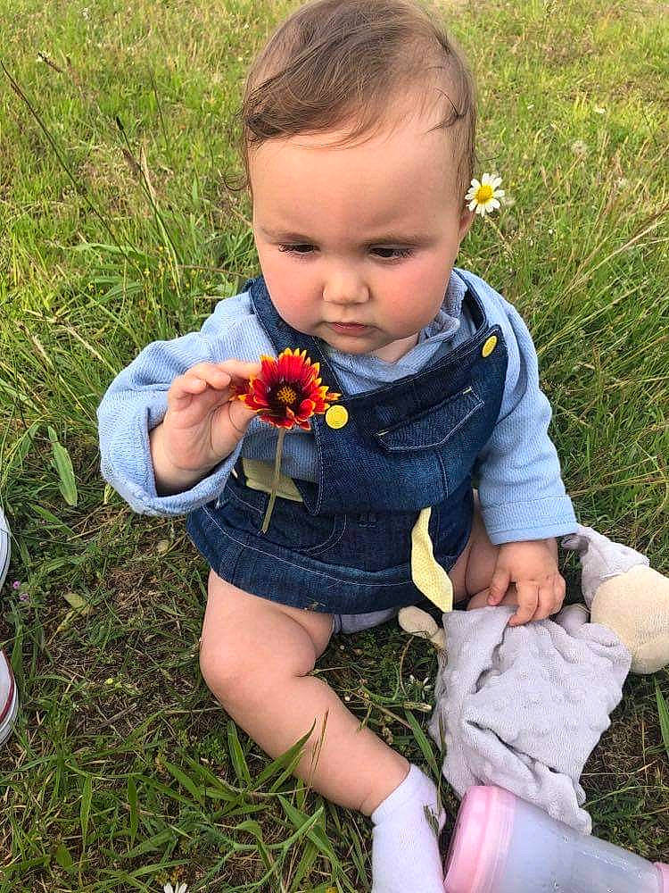 Justine participe au concours pour gagner de l'argent avec cette photo : baby_toddler_clothing, child, dress, eye, finger, flower, grass, grass_family, happy, head, human_leg, lawn, meadow, people_in_nature, person, petal, plant, rose, sitting, thigh