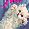 adorable, animal, blue_blanket, cat, closeup, cozy, cute, doodle, feline, fluffy, indoor, kitten, lying_down, paw, pet, pink_hearts, playful, resting, soft, white